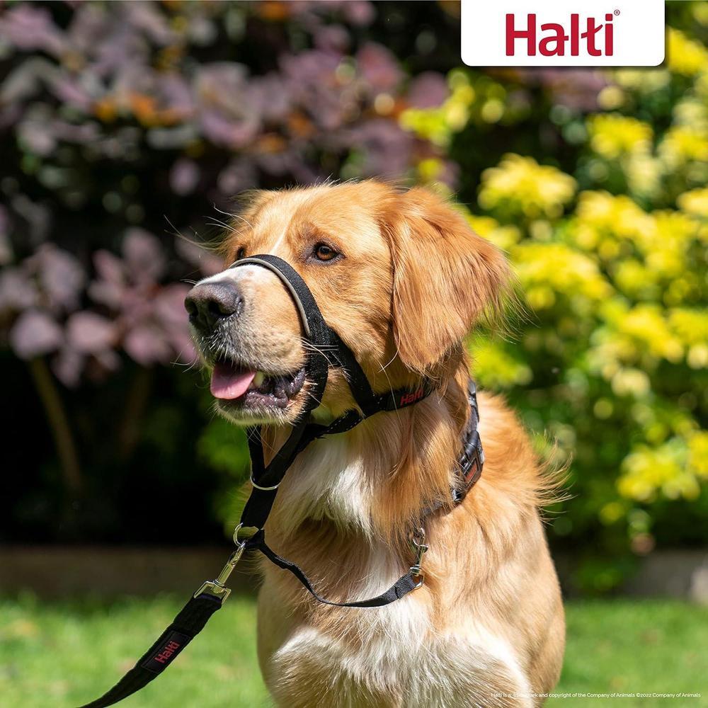 HALTI - Collar para la cabeza que evita que tu perro tire, ajustable, reflectante y ligero, con banda acolchada para la nariz