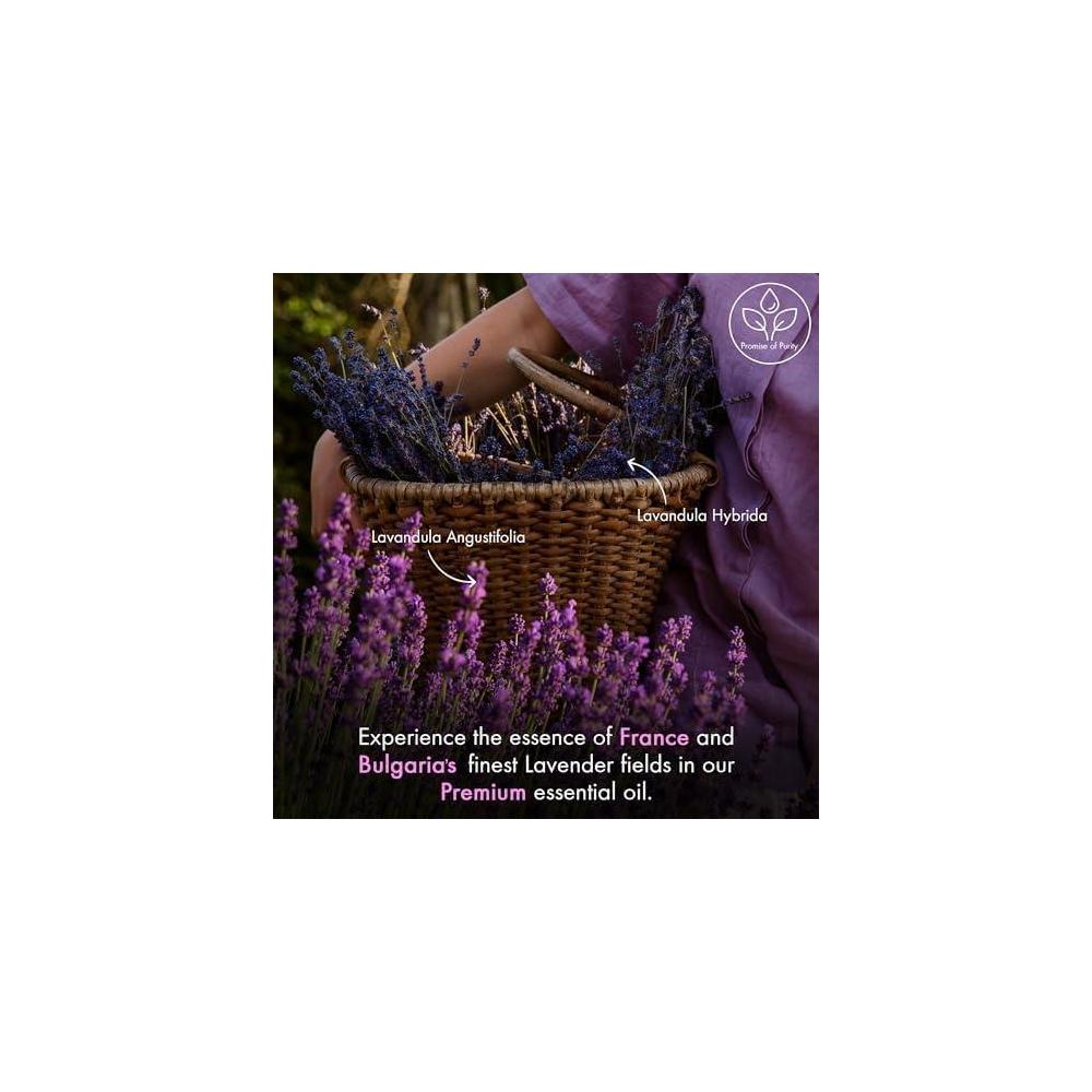 Majestic Pure: Aceite esencial de lavanda de grado terapéutico, puro y natural, ideal para aromaterapia y cuidado personal