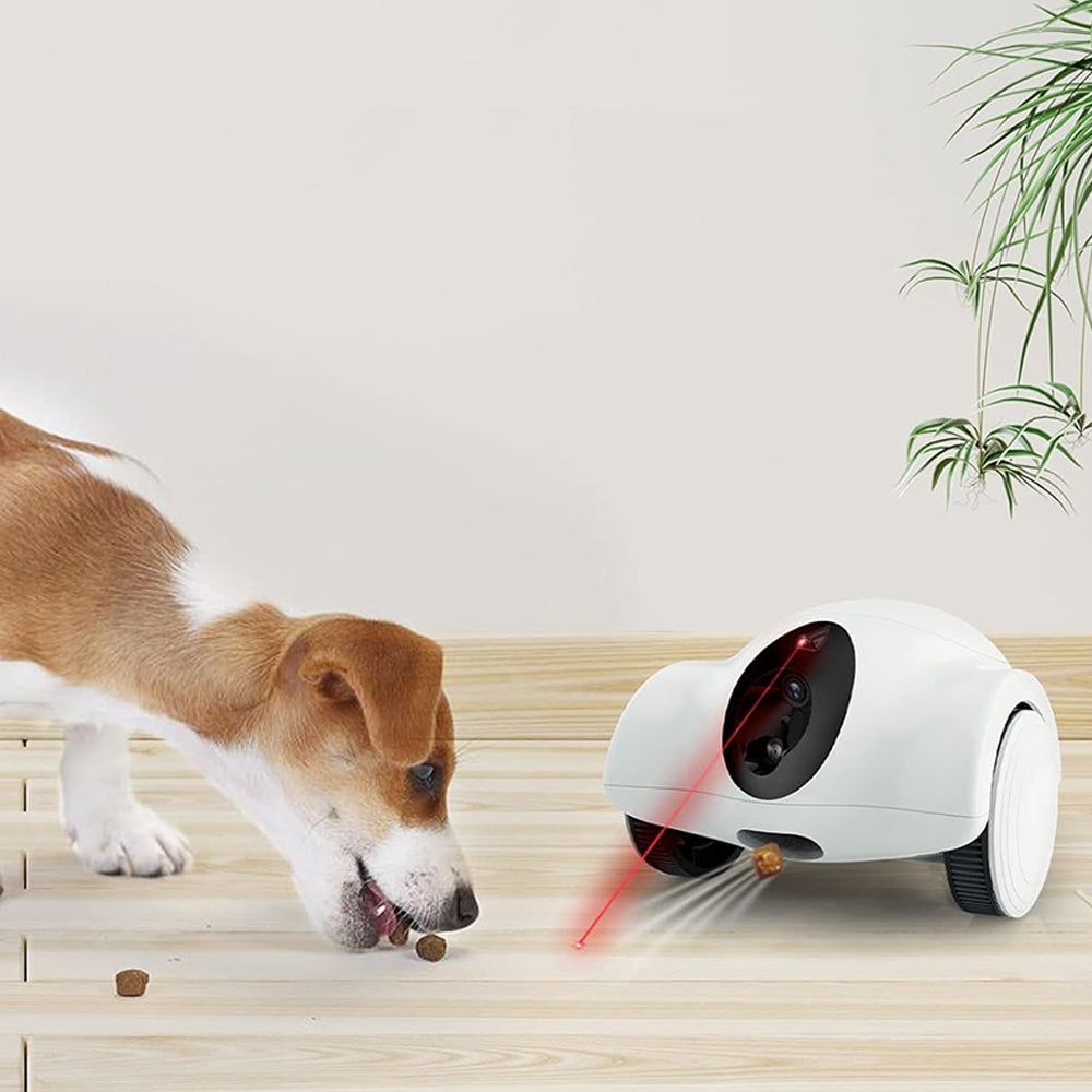 Robot Dispensador de Comida para Mascotas con Cámara
