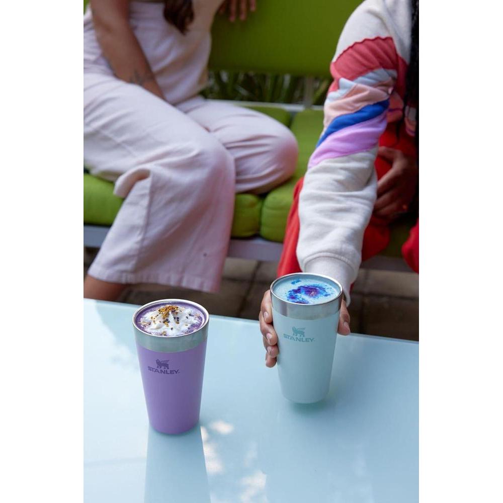 Vaso de acero inoxidable apilable, aislado sin BPA, apto para lavavajillas, color ciruela y capacidad de 16 oz for bebidas frías