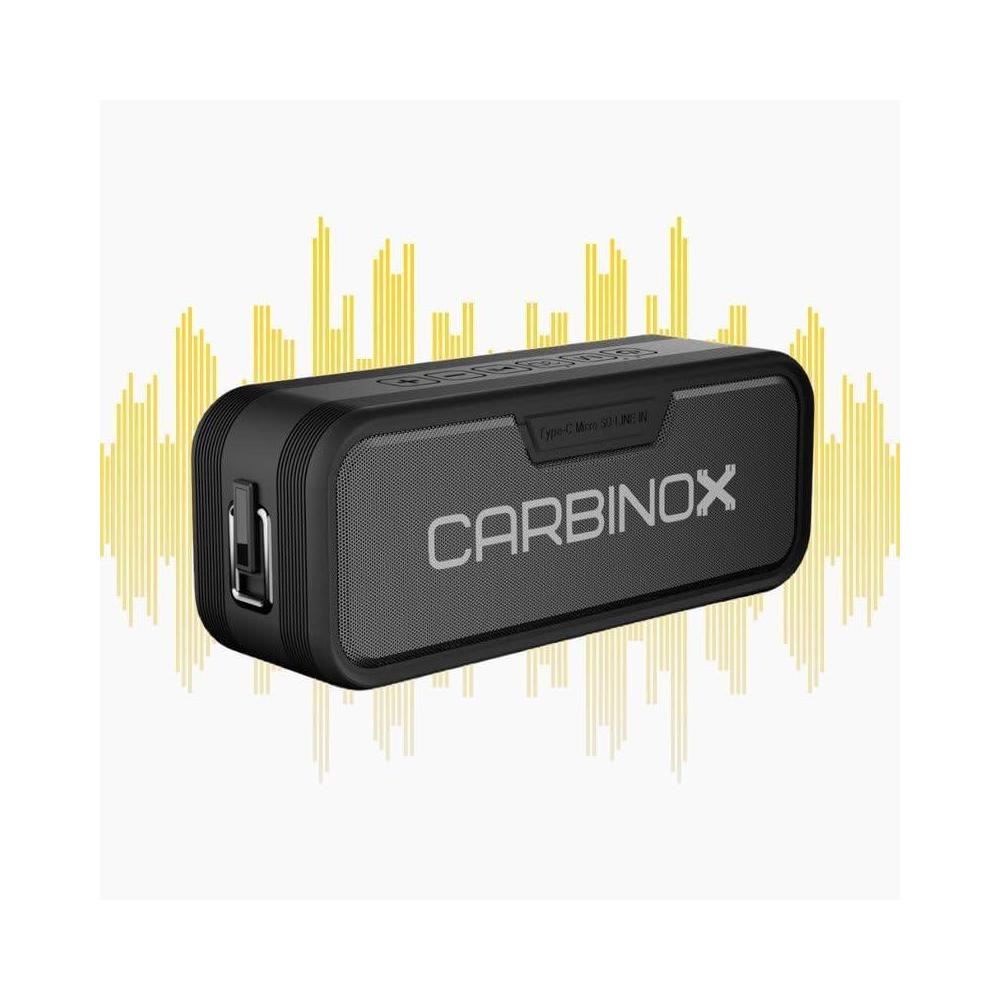 CARBINOX Portable Bluetooth Speaker with IPX7 Waterproof, Type-C Fast Charging, 3D Surround Sound, 18m Range, Black