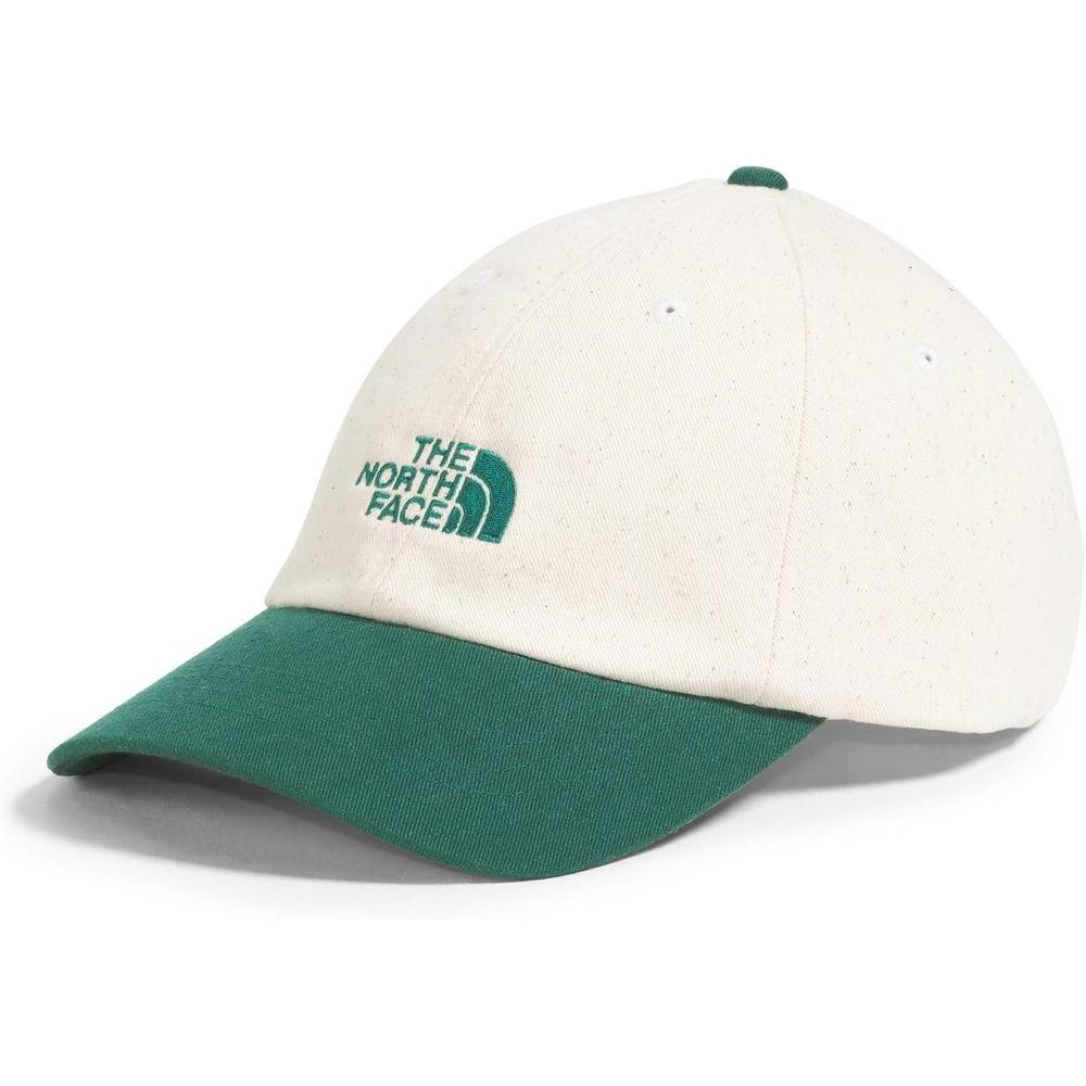 The North Face Unisex-Adult Norm Baseball Hat