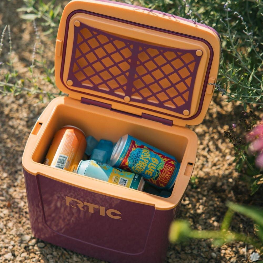 RTIC Hielera personal de viaje compacta y portátil, ideal para alimentos y bebidas en playa, camping, picnic y pesca